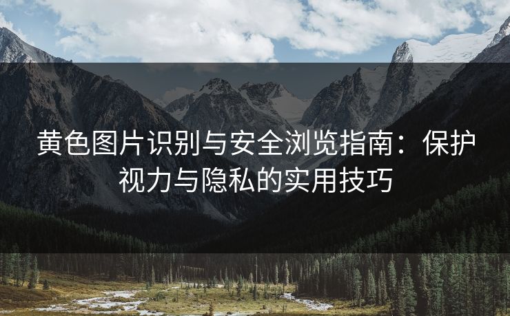 黄色图片识别与安全浏览指南：保护视力与隐私的实用技巧