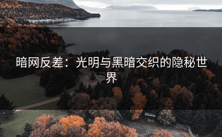 暗网反差：光明与黑暗交织的隐秘世界