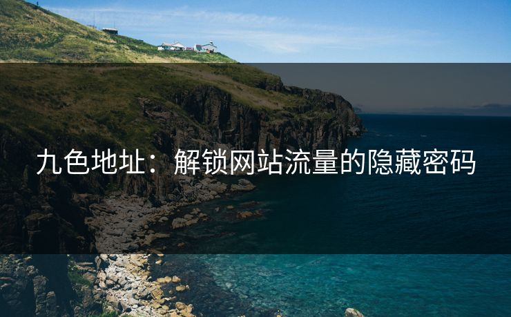 九色地址：解锁网站流量的隐藏密码