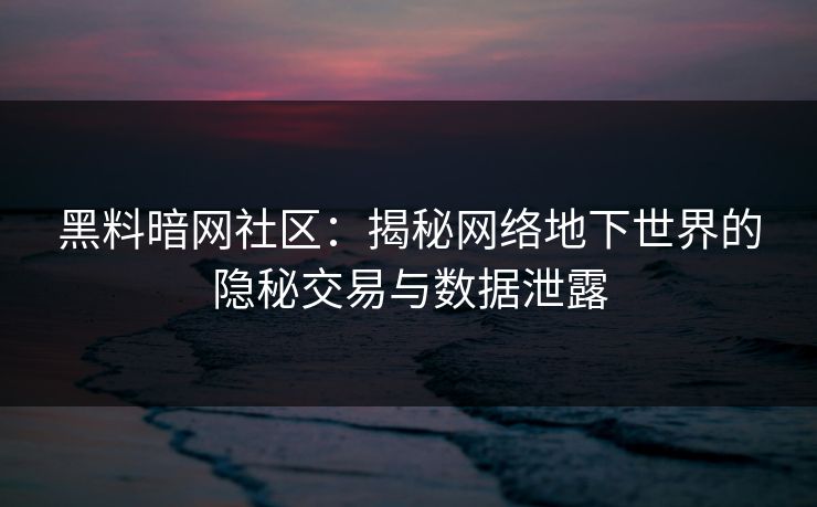 黑料暗网社区：揭秘网络地下世界的隐秘交易与数据泄露