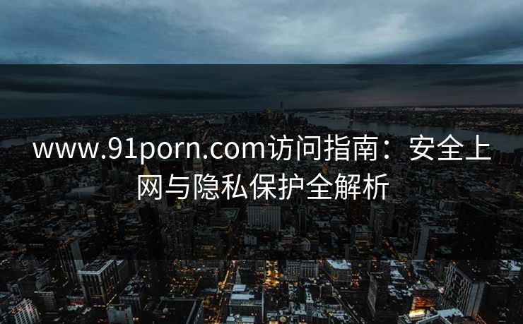 www.91porn.com访问指南:安全上网与隐私保护全解析